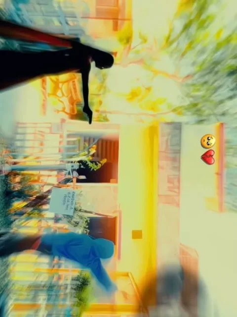 Janu Mane Chhodi Didho Capcut Template