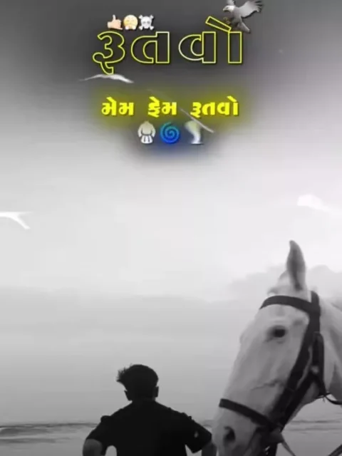 Nem Fem Capcut Template