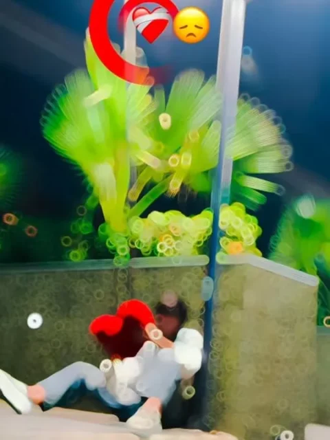 Sad Gujarati Capcut Template Link