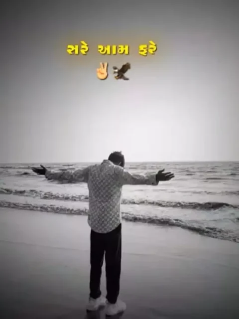 Shivuu On Fire Capcut Template