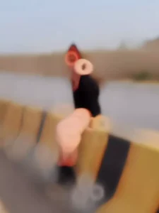 Back To Back Capcut Template Link