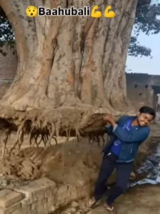 Trendimg Ai Video Editing 2025