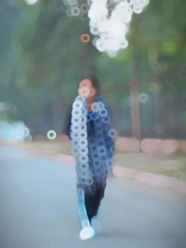 Vidhansabha Capcut Template 2026