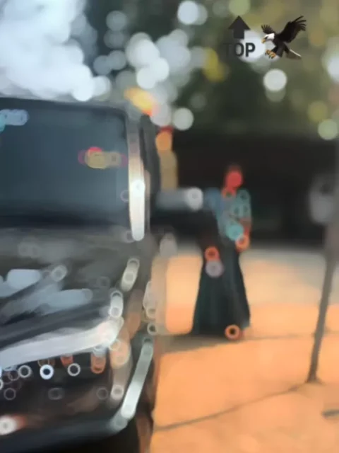 Belong Capcut template