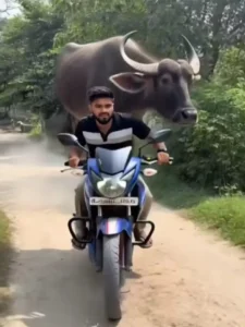 Buffallo Ai Video Editing