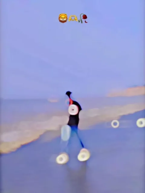 Hu Maru jau To Tare Capcut Template