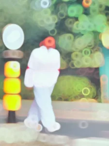 Odhaniya Ae Gori Capcut Template