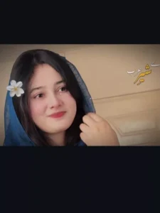 Aye Shere Arab Capcut Template