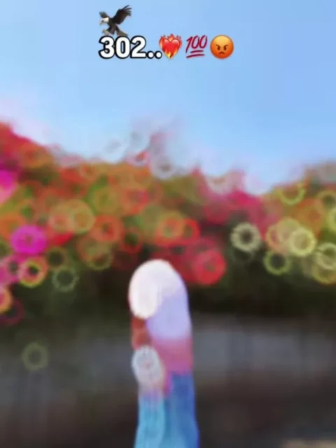 DJ Remix Capcut Template