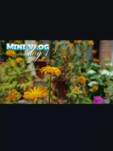 Daily Vlog Capcut Template Link Working