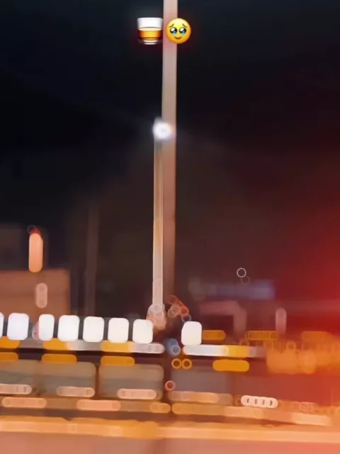 Sad Gujarati Capcut Template