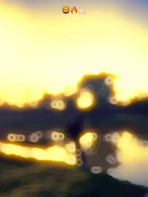 Virla Gujarati Capcut Template