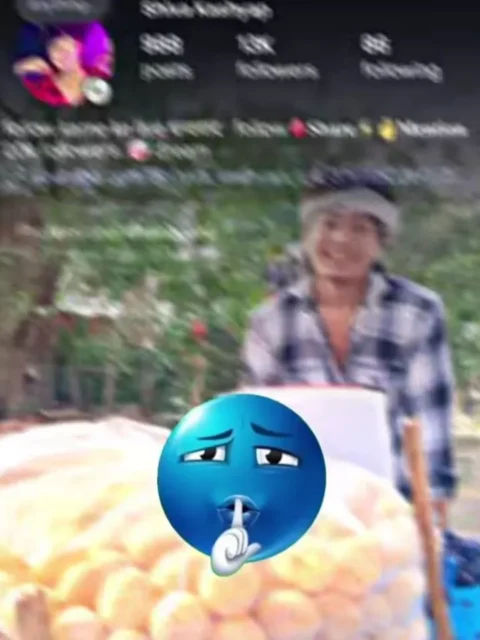 Bihari Fonk Capcut template
