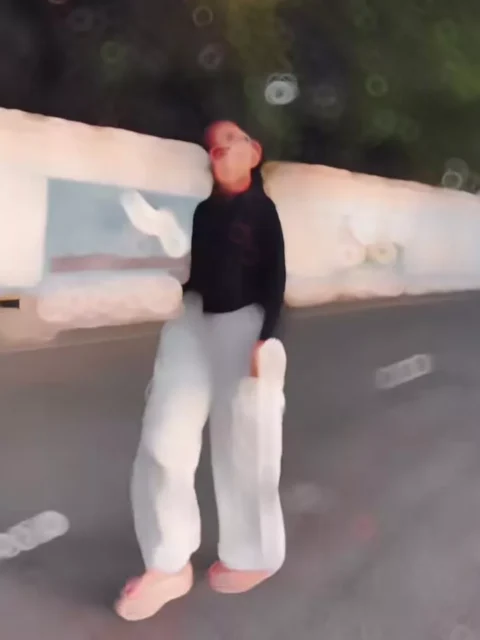 Gujarai Song Capcut Template