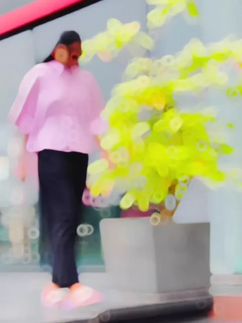 Level Up Gujarati Capcut template