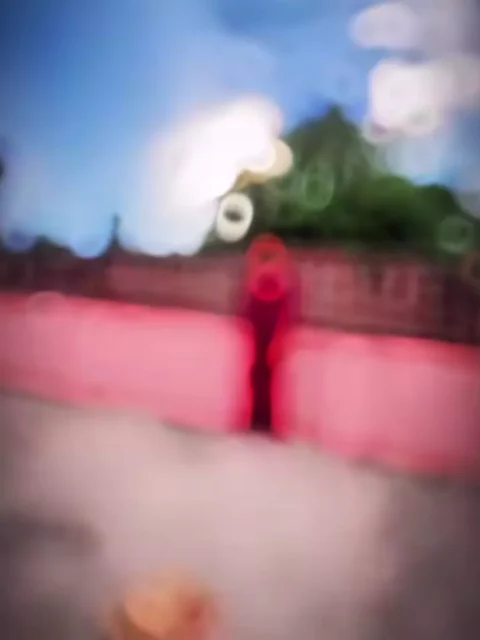 Pistal Bhojpuri Capcut Template