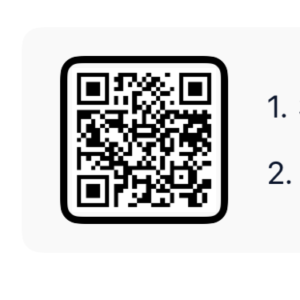 Zen z Vn Code